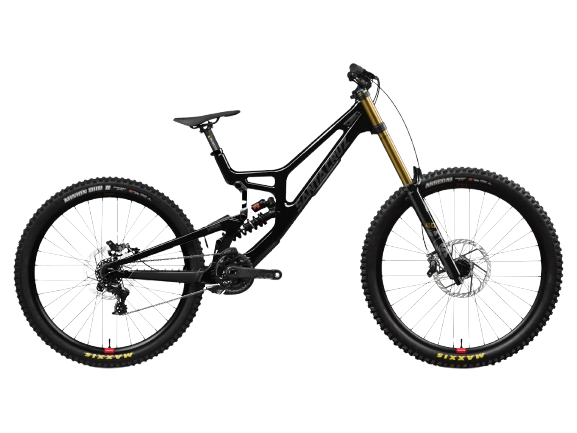 Santa Cruz V10
