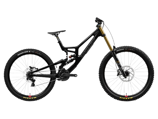 Santa Cruz V10